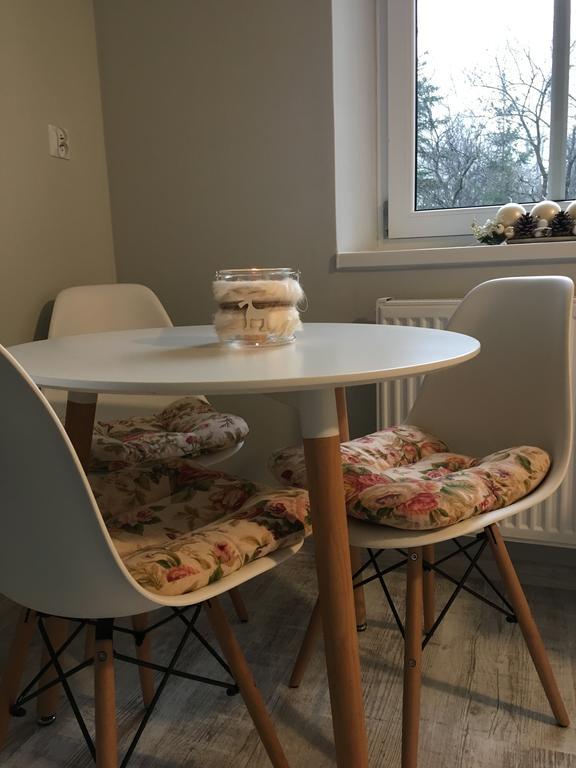 Apartament Halina Apartment ล็องเดก-ซดรุย ภายนอก รูปภาพ